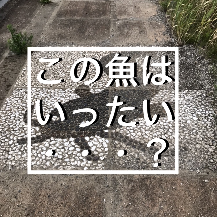 ◇『sakanaの日常』謎の石板パート2